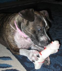 Lucy