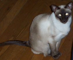 Abby