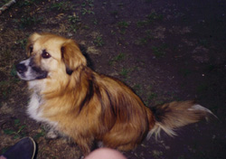 Annie