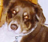 Casey