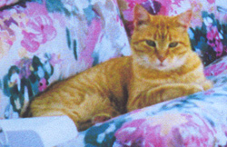 Copper