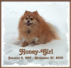 HoneyGirl
