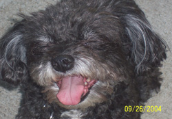Maggie