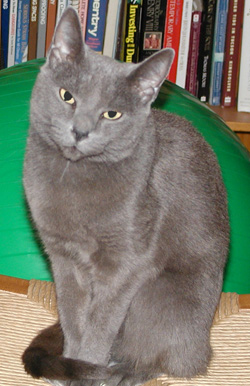 MissMouse