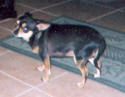 Muchita