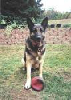 Roxie