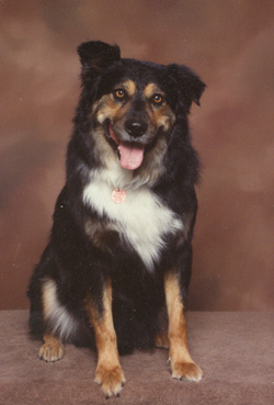 Rudy