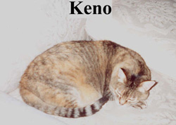 Keno