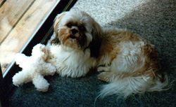 Barney