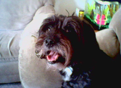 Casey