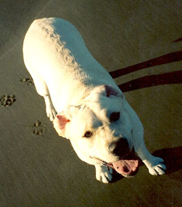 Kenai
