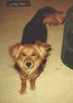 Maggie