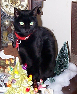 Missy