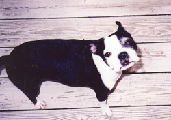 Missy