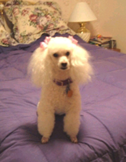 Molly