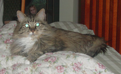 Molly