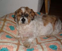 Oliver