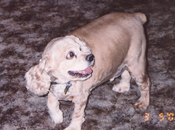 Percy