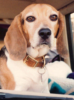 Ralph