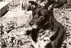 Rita
