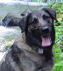 Sierra