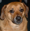 Annie