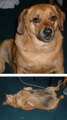 Annie