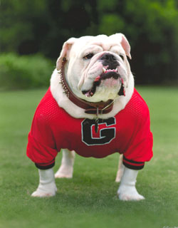 Uga VI