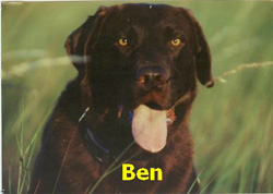 Ben