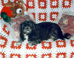 Tuddie