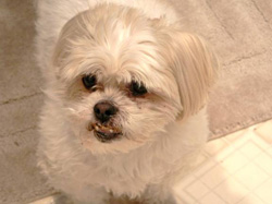 Rudy