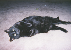 Smuff